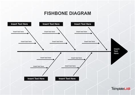 Fishbone Diagram Template 5