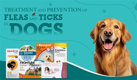 Flea and Tick Prevention Discounts