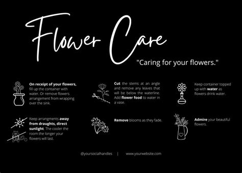 Floral Care and Maintenance