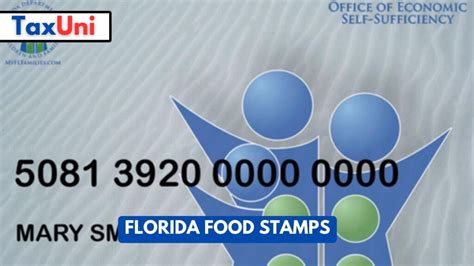 Florida food stamp program overview