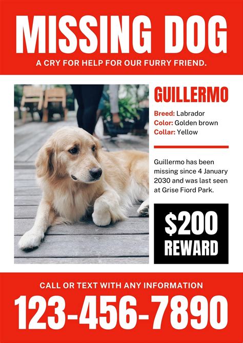 Flyer template for lost pet example