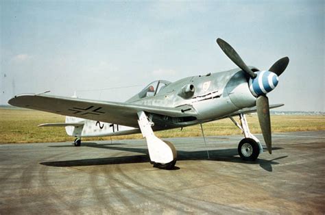 Focke-Wulf Fw 190 Inspection