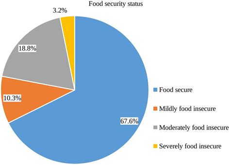 Food Insecurity Image 3