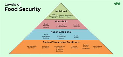 Food Insecurity Image 9