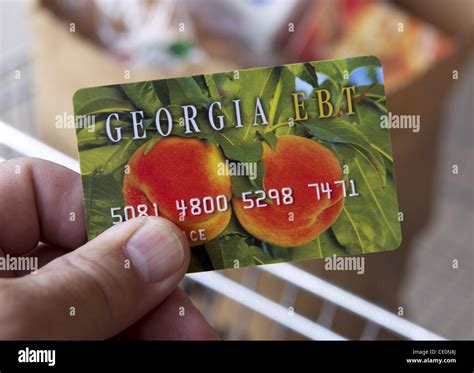 Food Stamp Card Design Concept