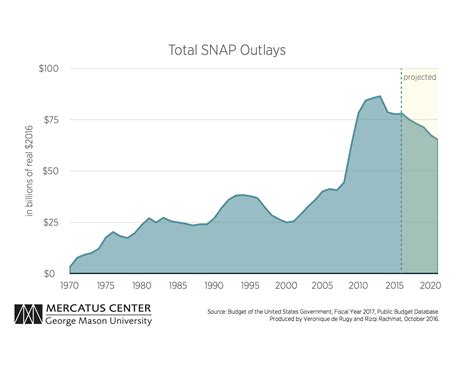 Food Stamp Distribution Process