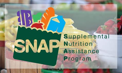 Food Stamp Program Benefits Services