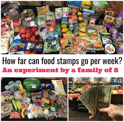 Food Stamps Challenges