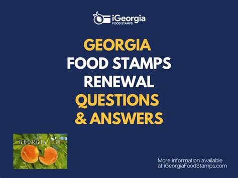 Food Stamps Georgia