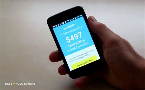 Food Stamps Mobile App 9