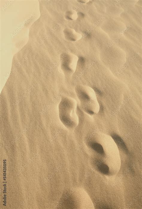 Footprints in the Sand Maze