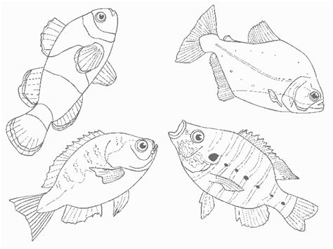 Free Printable Coloring Pages