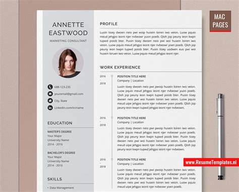 Free Resume Template For Mac