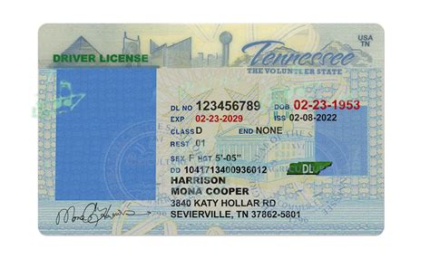 Free Tennessee Driver's License Template