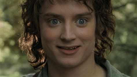 Frodo no face