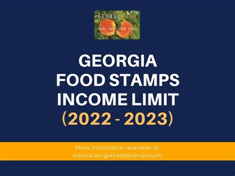 Future Directions for Food Stamps in Georgia