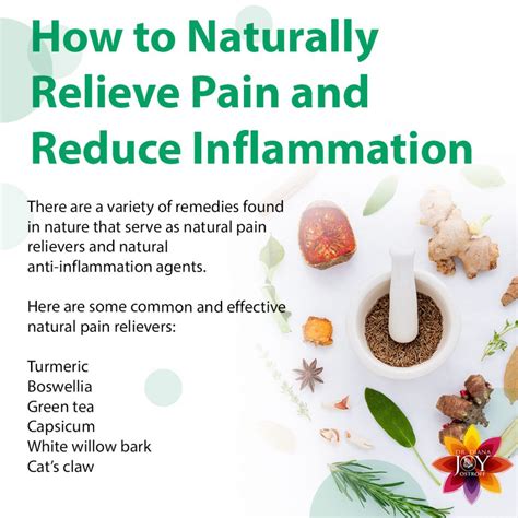 Future of Natural Pain Relief