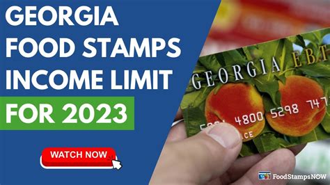 GA Food Stamps Income Guidelines