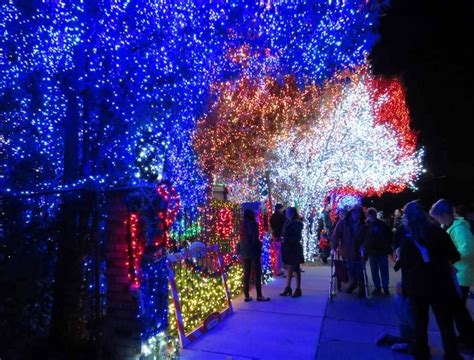 Garland District Holiday Lights