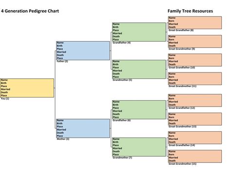 Genealogy Chart