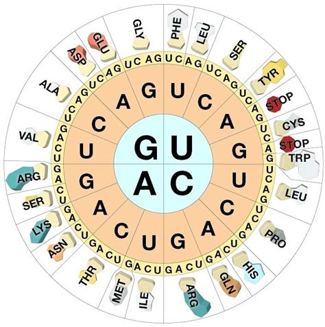 Unlocking the Secrets of Your Genetic Code