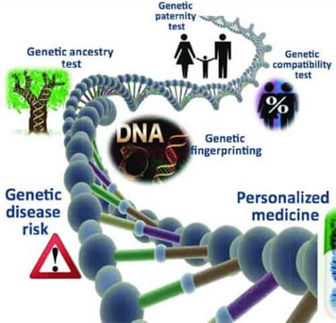 Genetic Health Risks Through DNA Testing