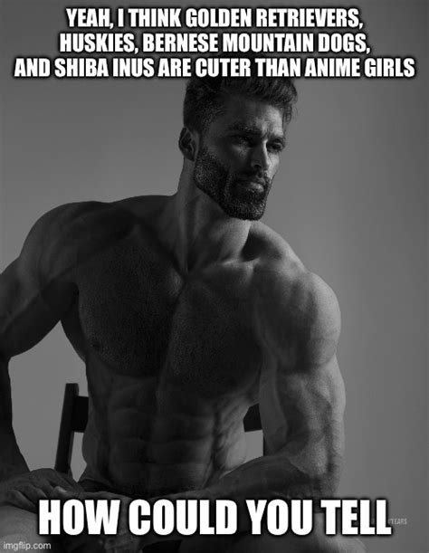 Giga Chad mountain meme