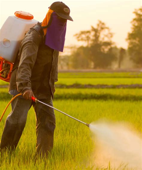 Glyphosate Controversy