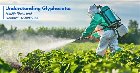 Glyphosate Health Risks