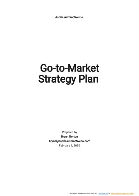 Go-to-Market Strategy Word Document