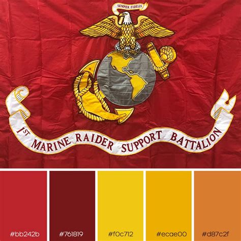 Gold Marine Corps Color