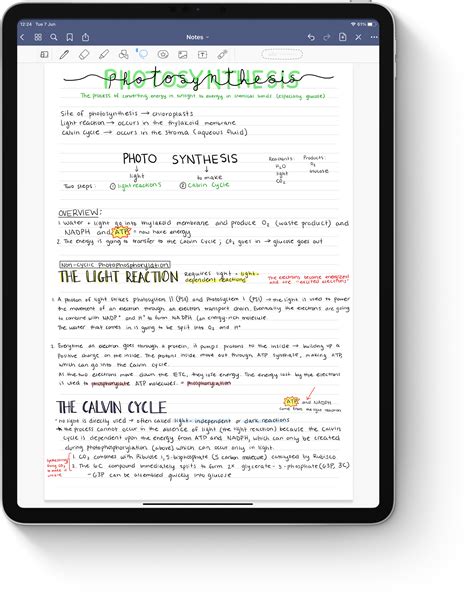 Goodnotes Templates for Better Note Taking