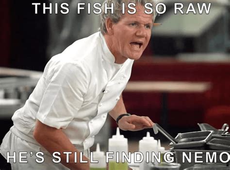 Gordon Ramsay what the hell is this meme