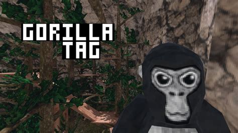 Gorilla Tag Gameplay