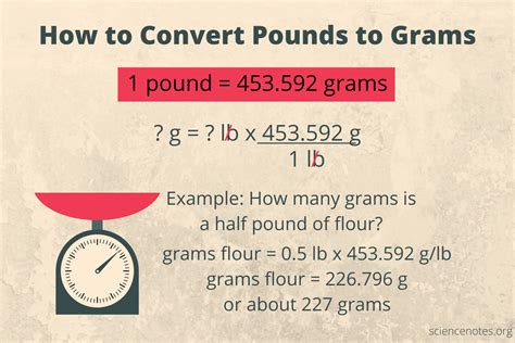 Converting Grams to Pounds