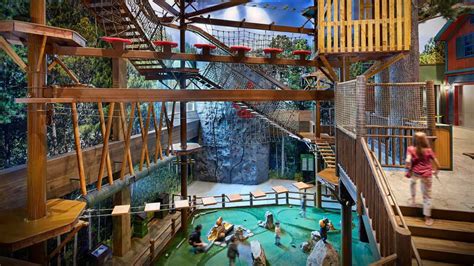 Great Wolf Lodge Ropes Course