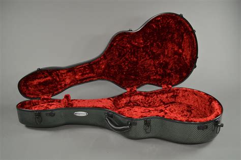 Guitar Case