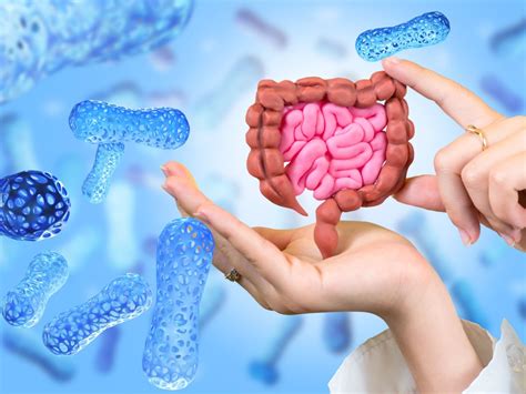 Gut Microbiome Importance