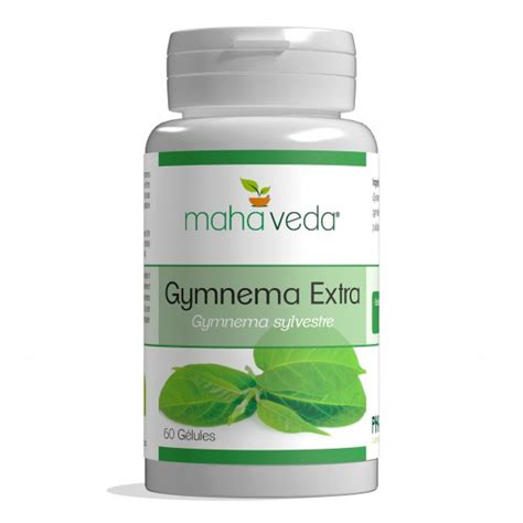 Gymnema for Diabetes