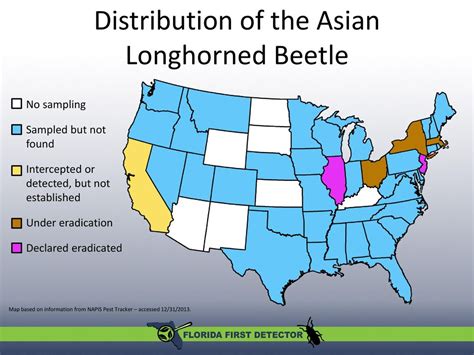 Habitat and Distribution of Beetles