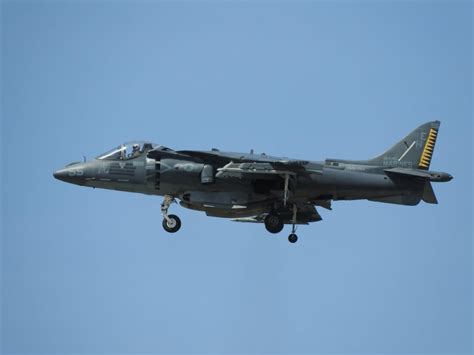 Harrier Hovering In Place