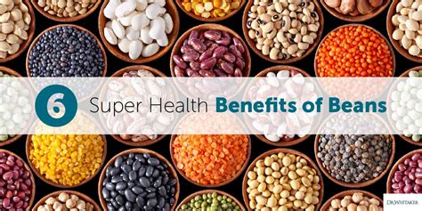 Health Benefits of Great Northern and Navy Beans