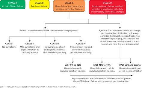 Heart Failure Management Strategies