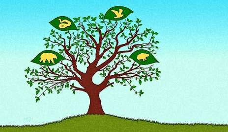 Helfenbein Family Tree