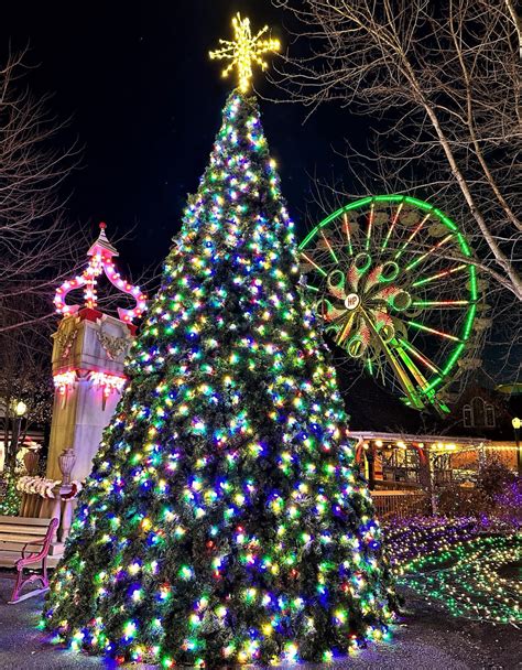 Hershey Park Christmas Trees