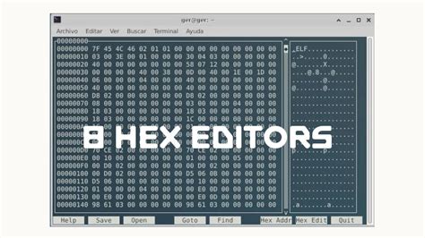 Hex editor