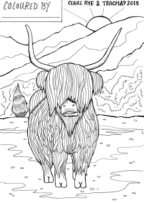 Highland Cow Colouring Page for Kids to Print