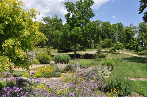 Home Garden