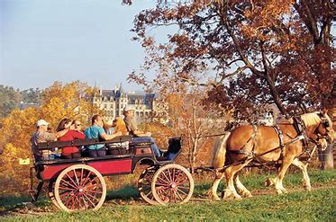 Horse-Drawn Carriage Ride Through Biltmore Estate