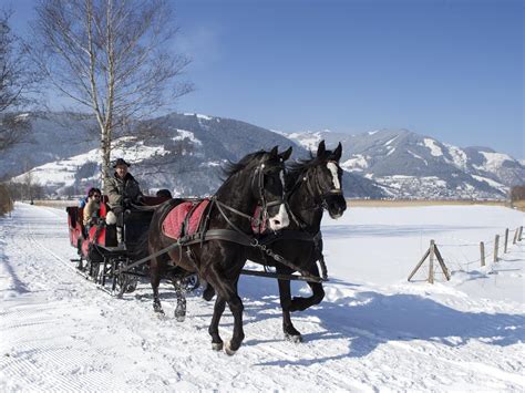 Horse-drawn sleigh ride through a snowy landscape